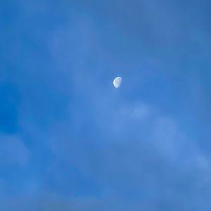 Meet your Posher, Shelby